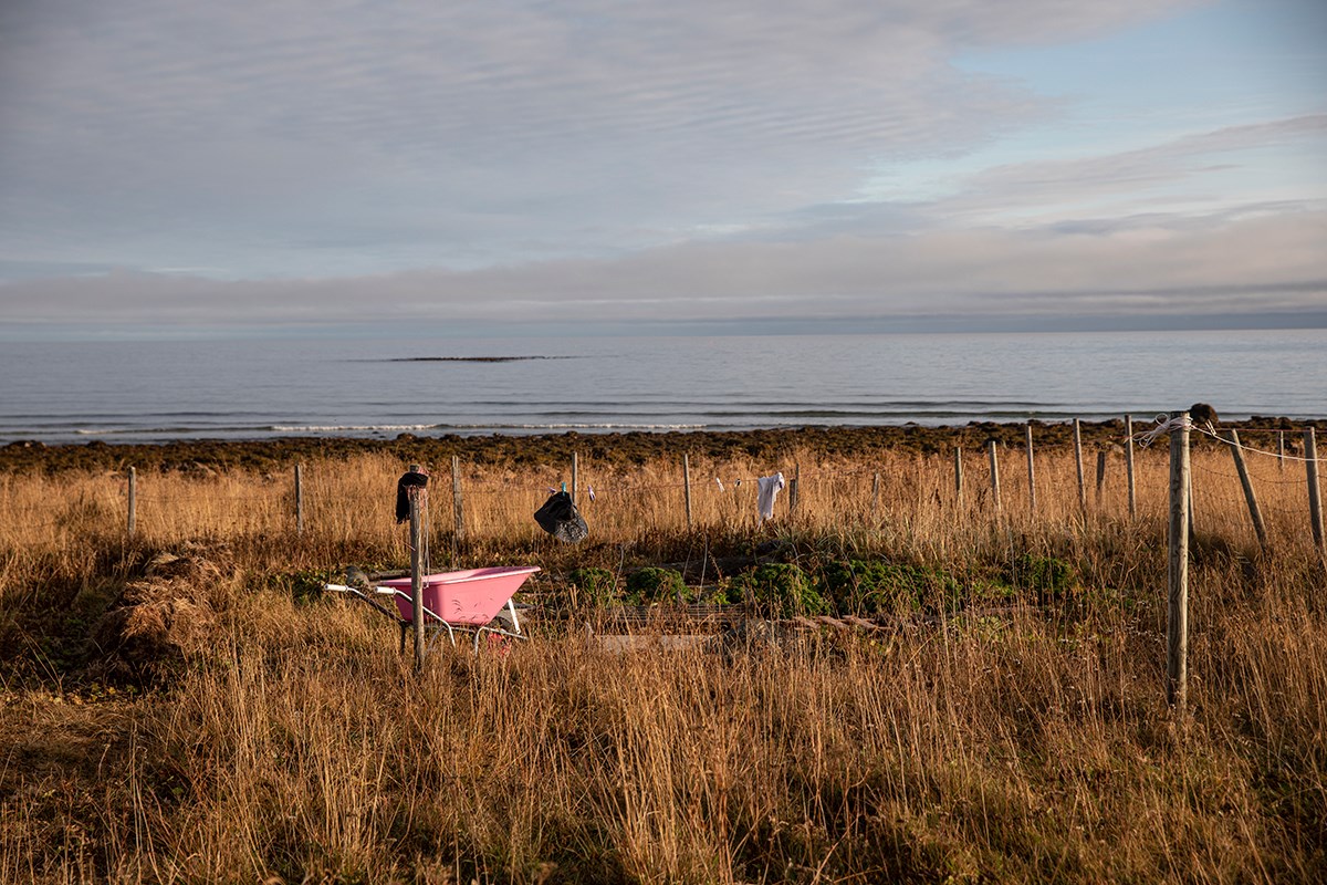 Skallelv ved Varangerfjorden